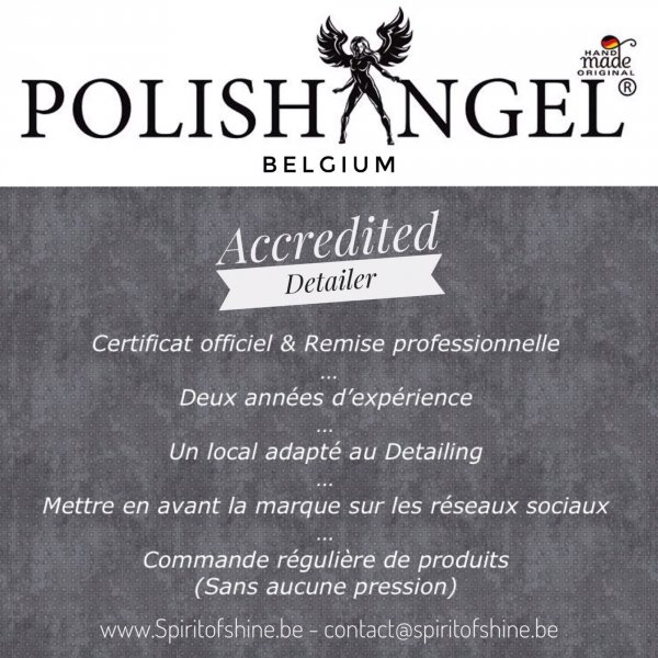 polishangel-belgique